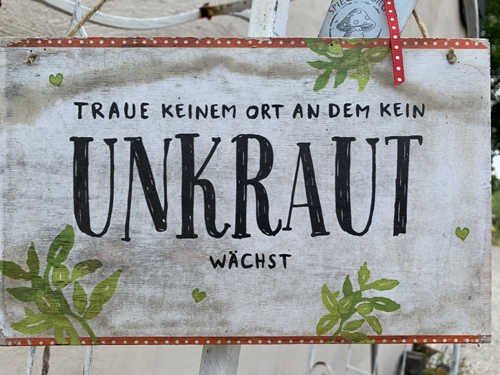 Kräuterspaziergänge Kräuterfee Anika